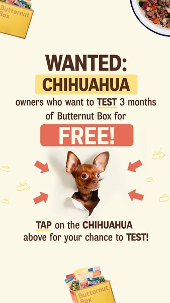 Butternut Box ad: 🐶 WANTED: CHIHUAHUA owners! 🐶