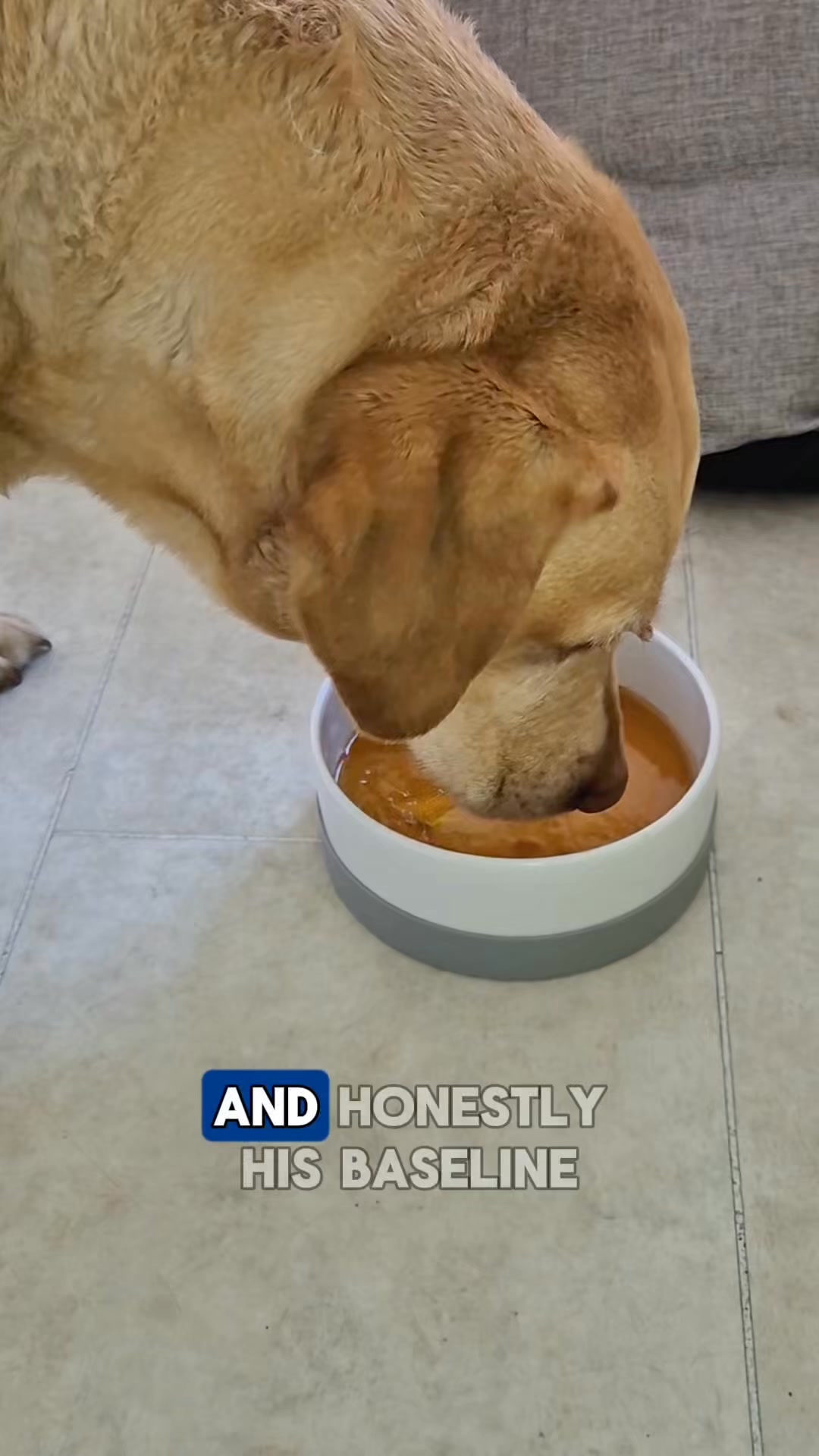 Pawd Drinks ad: Daily Calm for Anxious Dogs