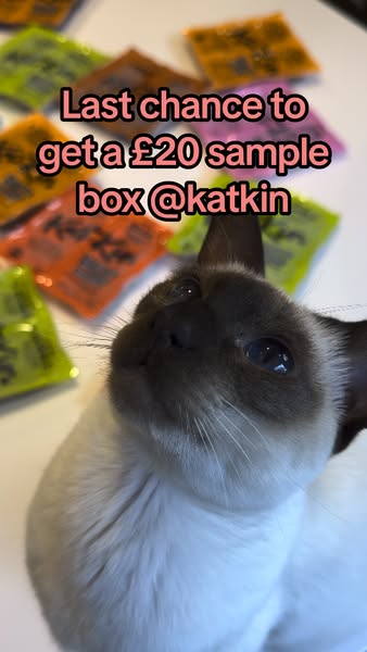 KatKin ad: Try 28 fresh meals for £20. That's 70p per meal for 100% fresh meat, portioned to your cat. See if it's worth it. We think it will be. Free