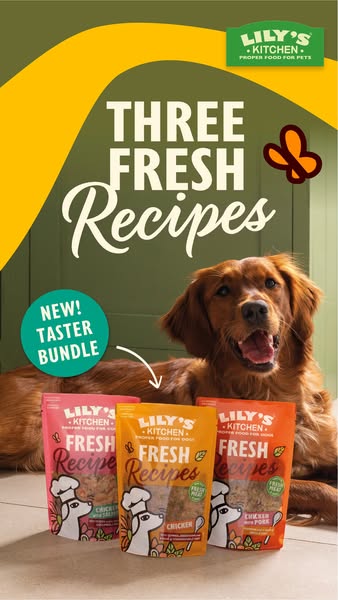Lily's Kitchen ad: Find your dog’s favourite