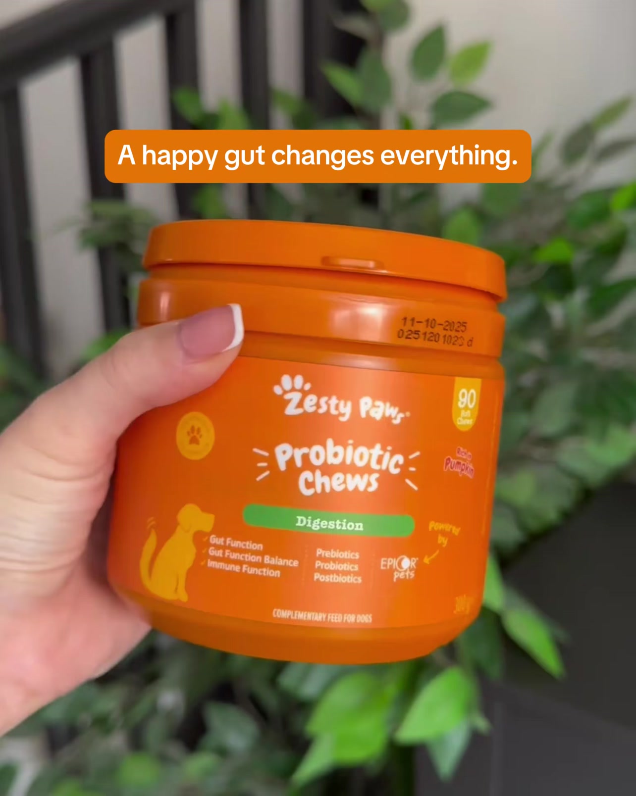 Zesty Paws UK ad: Daily Gut Support For Dogs!