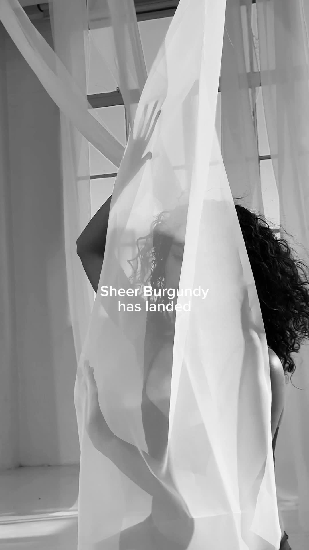 Heist Studios ad: Now up to 50% off: Sheer Burgundy underwear collection