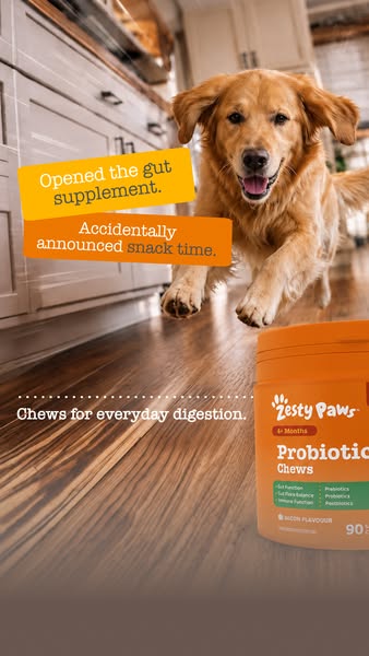 Zesty Paws UK ad: The chew they hear from another room.