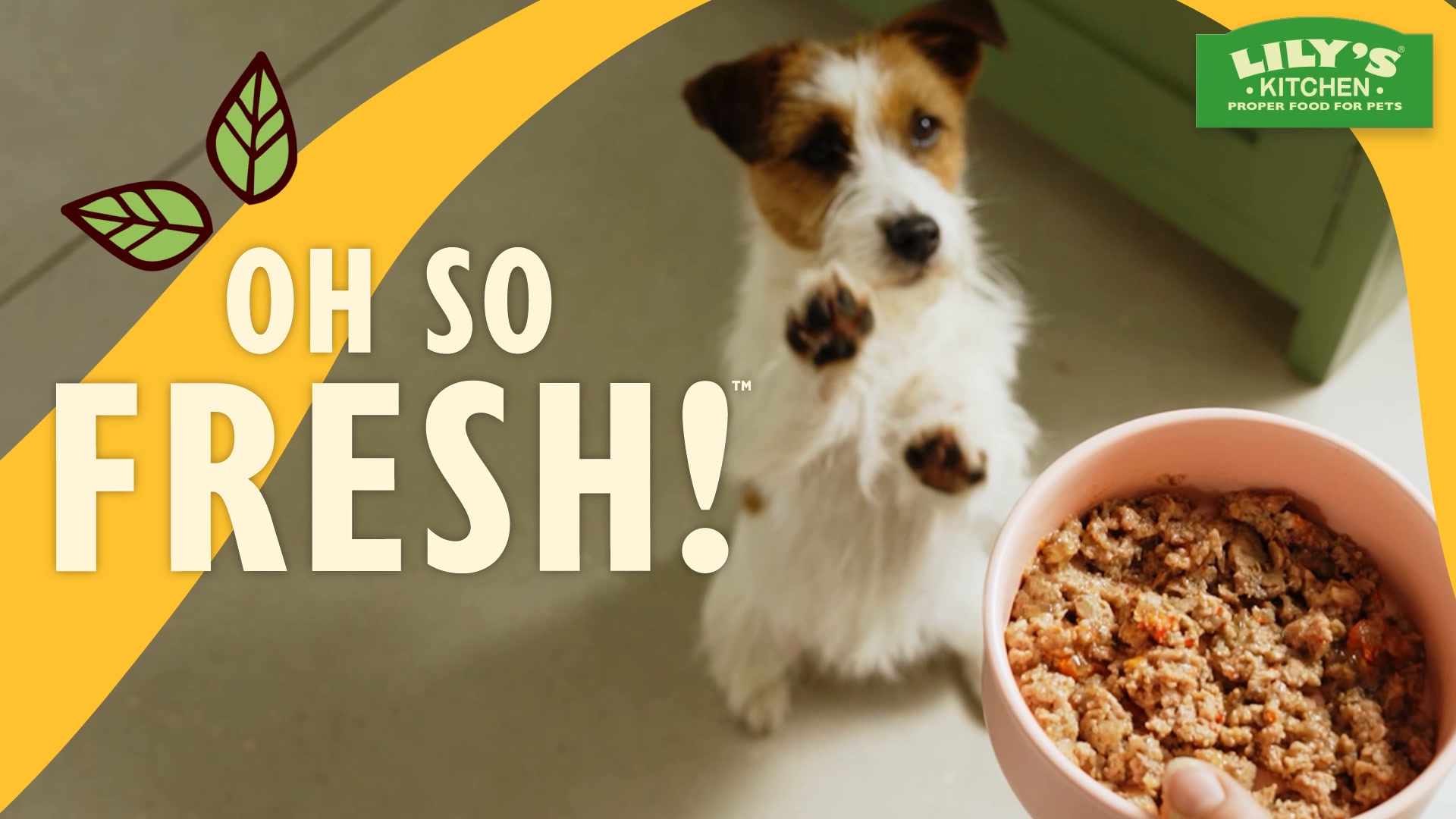 Lily's Kitchen ad: OH SO FRESH!™