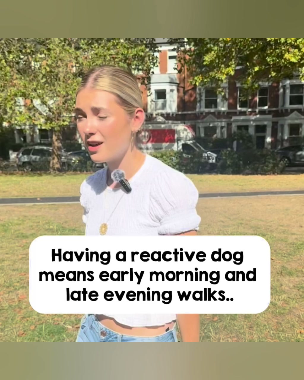 Pawd Drinks ad: Daily Calm for Anxious Dogs