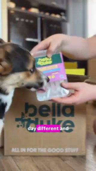 Bella+Duke ad: Get 40% off your first box