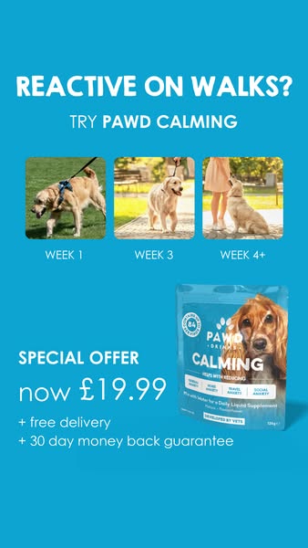 Pawd Drinks ad: Daily Calm for Anxious Dogs