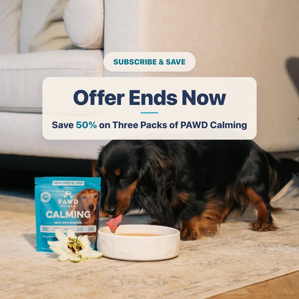 Pawd Drinks ad: Daily Calm for Anxious Dogs