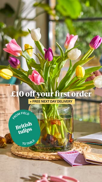 Bloom & Wild ad: £10 off your first order