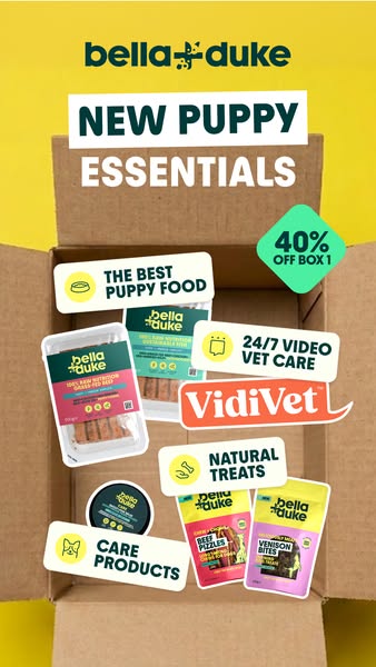 Bella+Duke ad: Get 40% off your first box