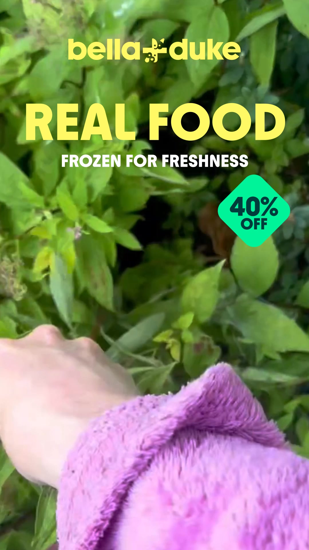 Bella+Duke ad: Get 40% off your first box