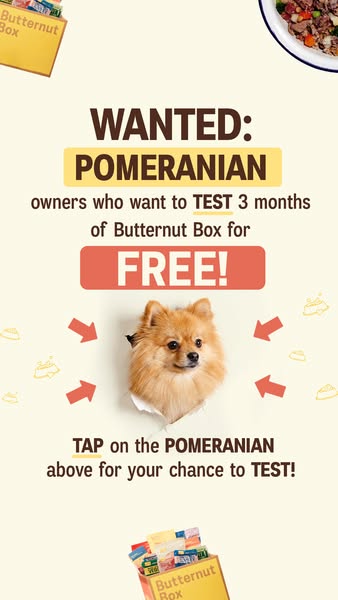 Butternut Box ad: 🐶 WANTED: POMERANIAN owners! 🐶