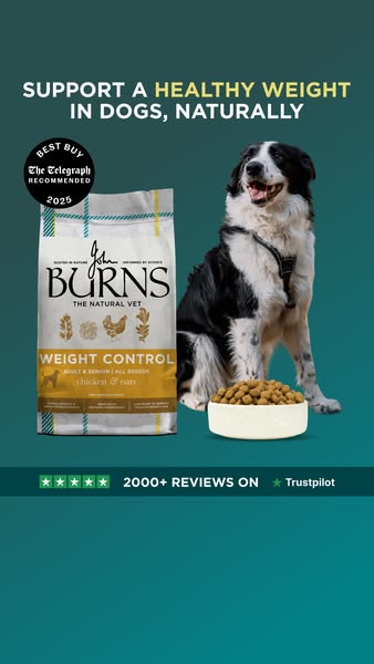 Burns Pet Nutrition ad: Low Cal Chicken & Oats Recipe