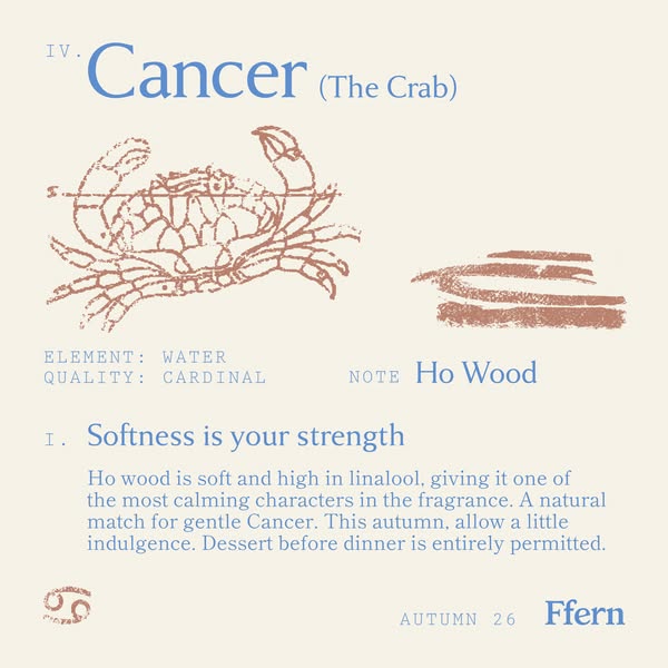 Ffern ad: Ffern | Natural Eau de Parfum