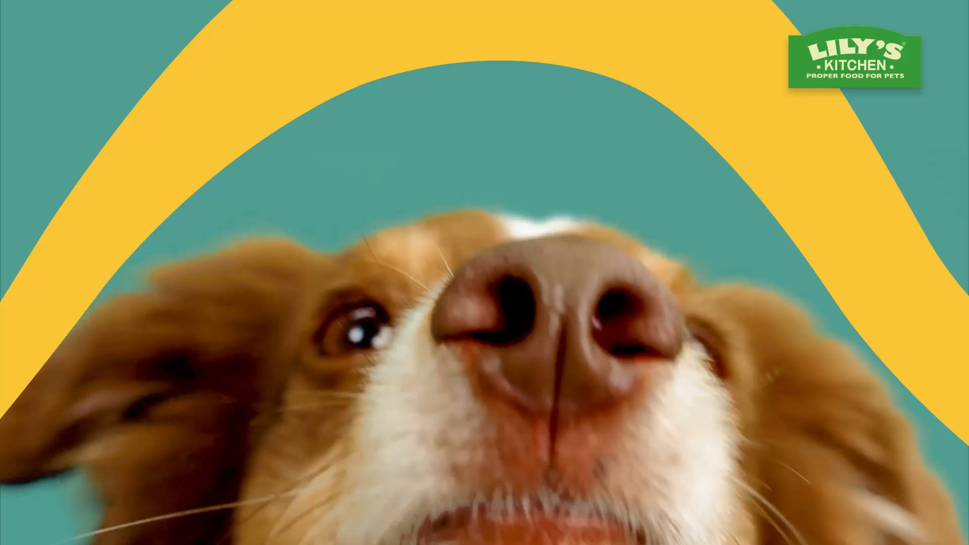 Lily's Kitchen ad: OH SO FRESH!™