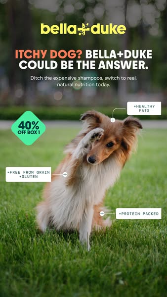 Bella+Duke ad: Get 40% off your first box