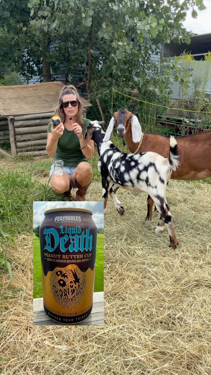 Liquid Death ad: The goats really said, “you’re not getting anything done today.” 😂🐐 At least I had my Liquid Death to keep me going. #ad #LiquidDeath #Far