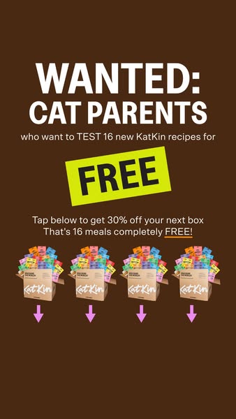 KatKin ad: 100% fresh meat for healthy cats