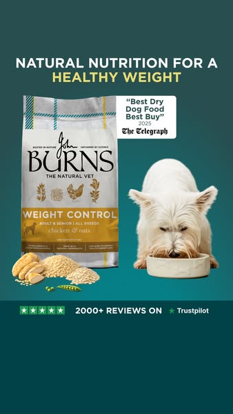 Burns Pet Nutrition ad: Support a Healthier Weight