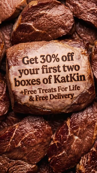 KatKin ad: 100% fresh meat for healthy cats