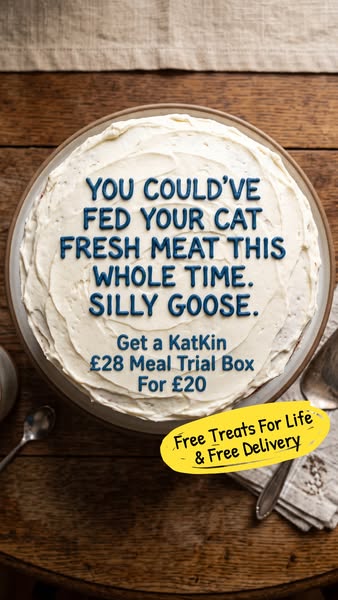 KatKin ad: 100% fresh meat for healthy cats