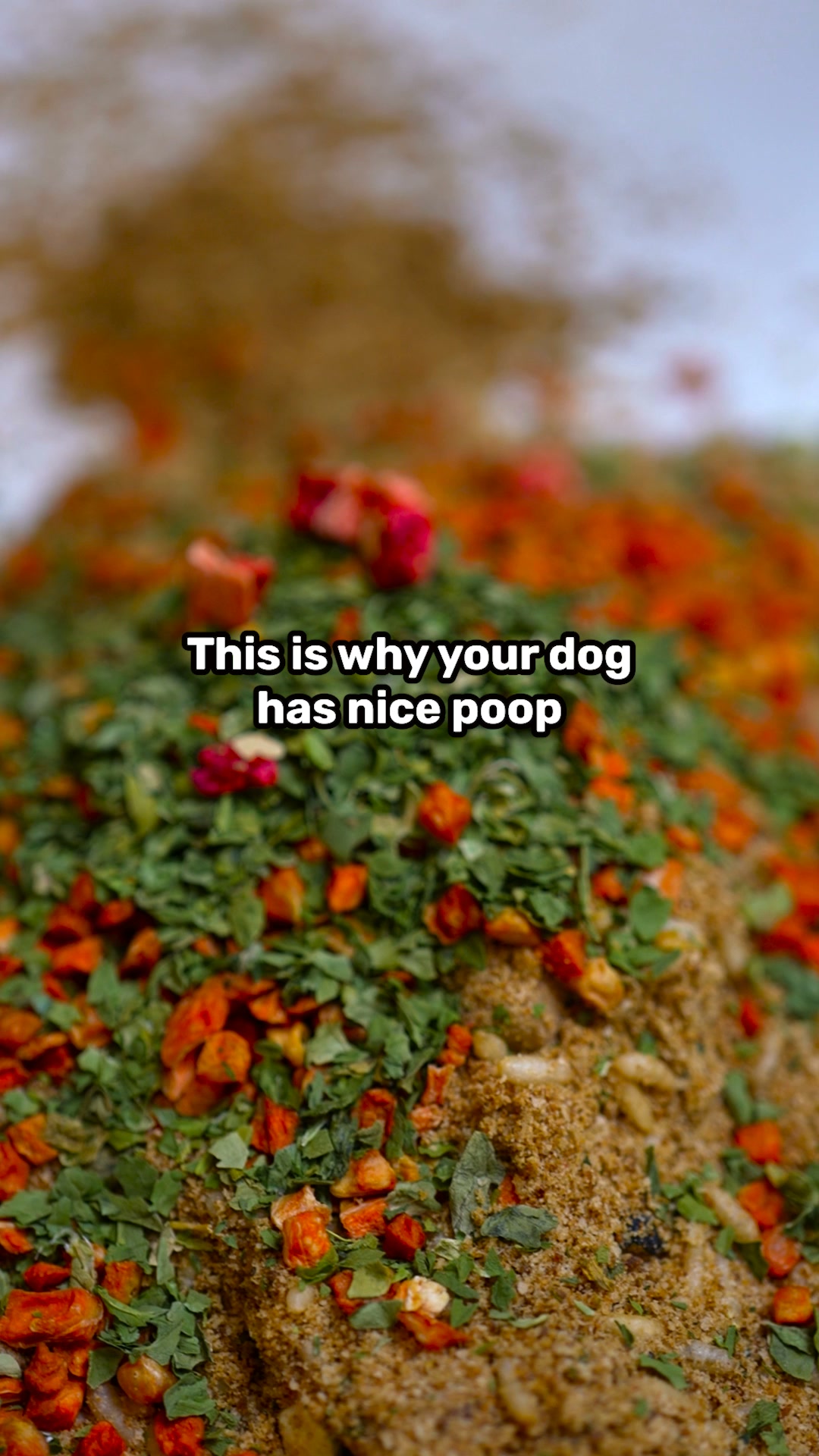Pure Pet Food ad: 30% off your first Pure box