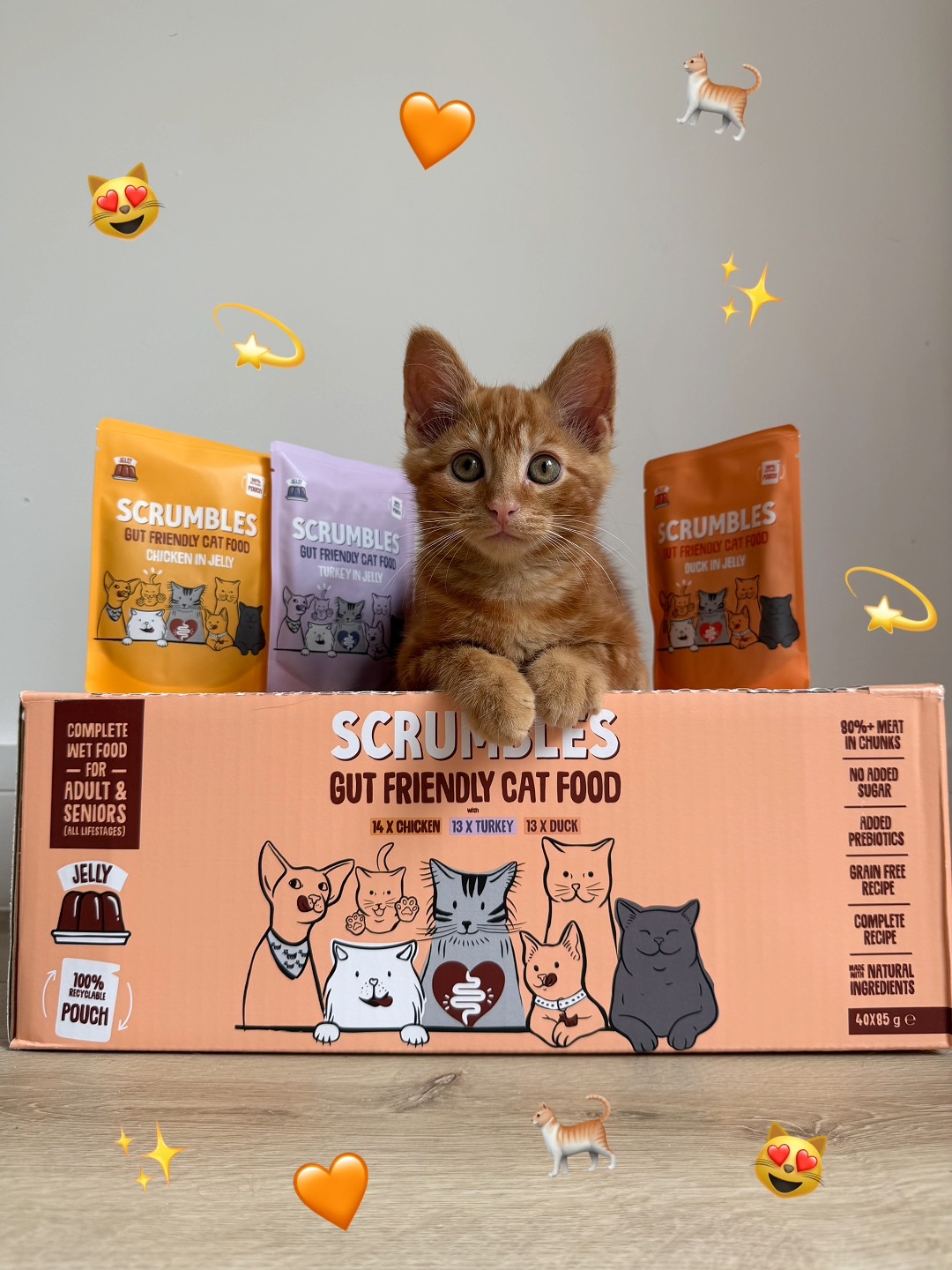 Scrumbles ad: Things you WILL find in our new mega packs of wet cat food: ✅ 40 irresistibly tasty recyclable pouches ✅ Poultry in a juicy jelly or a rich