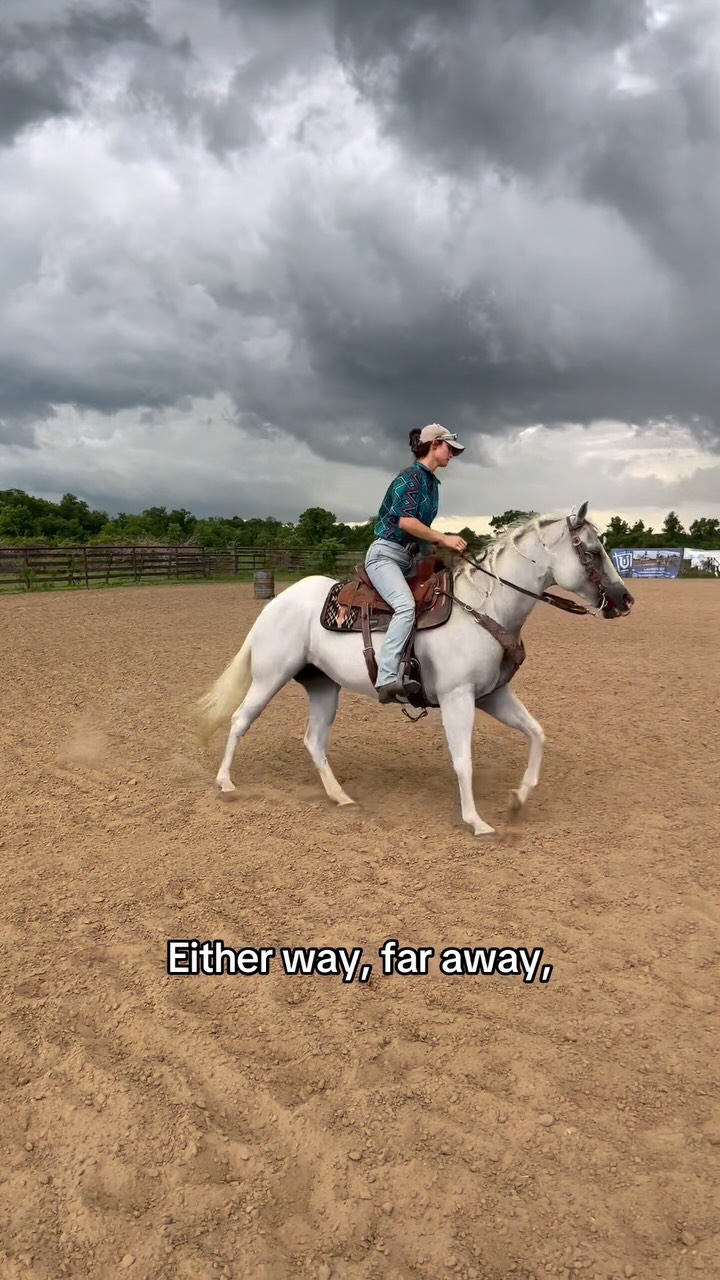 Insta360 ad: Check out the Insta360 Flow 2 Pro 🤯 Use code RDRANCH and get one of your own! @insta360 #insta360flow2pro #horseriding #horsetrainer