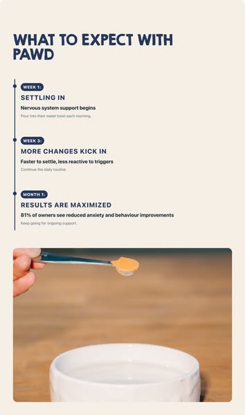 Pawd Drinks ad: Daily Calm for Anxious Dogs