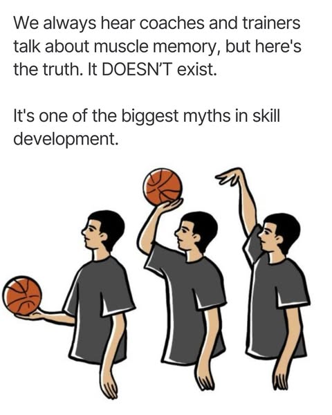 Transforming Basketball ad: Implement a Conceptual Offense | Transforming Basketball