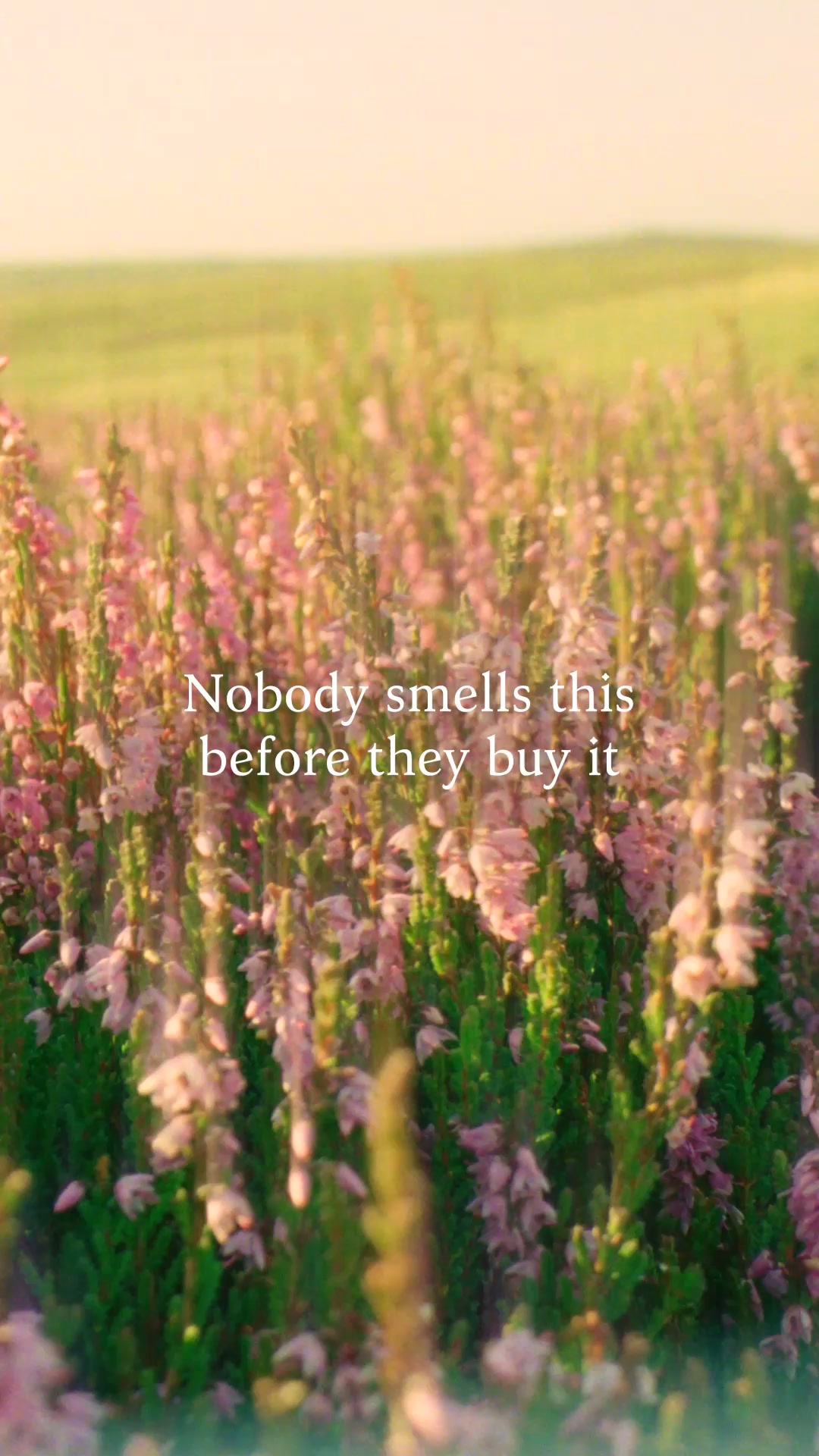 Ffern ad: Small-Batch Natural Fragrance.