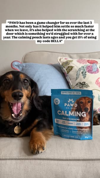 Pawd Drinks ad: Daily Calm for Anxious Dogs