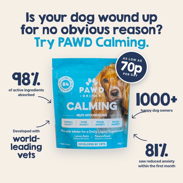 Pawd Drinks ad: Daily Calm for Anxious Dogs