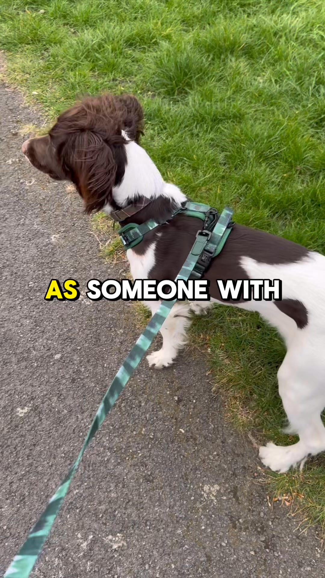 Pawd Drinks ad: Daily Calm for Anxious Dogs