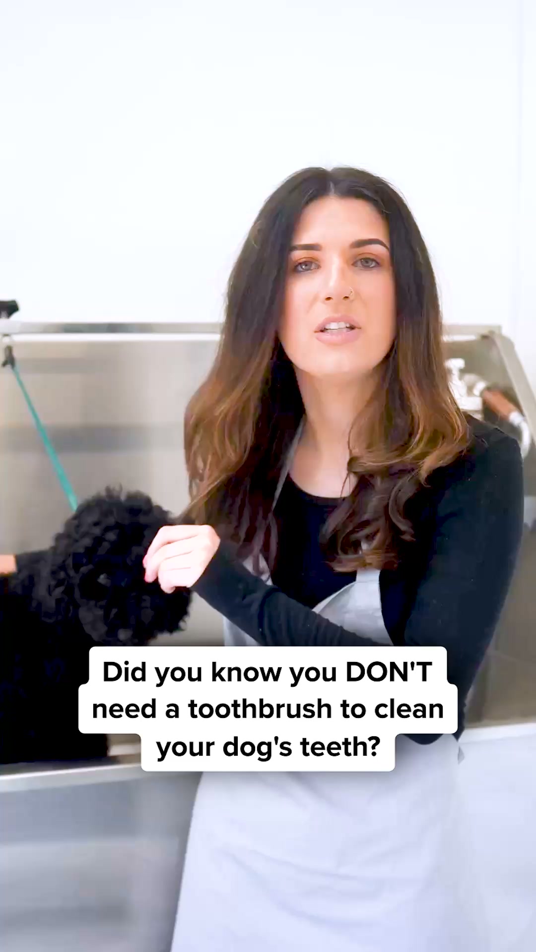 PetLab Co. ad: Dog groomer reviews powder that cleans teeth without brushing!