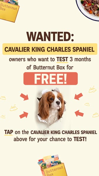 Butternut Box ad: 🐶 WANTED: CAVALIER KING CHARLES SPANIEL owners! 🐶