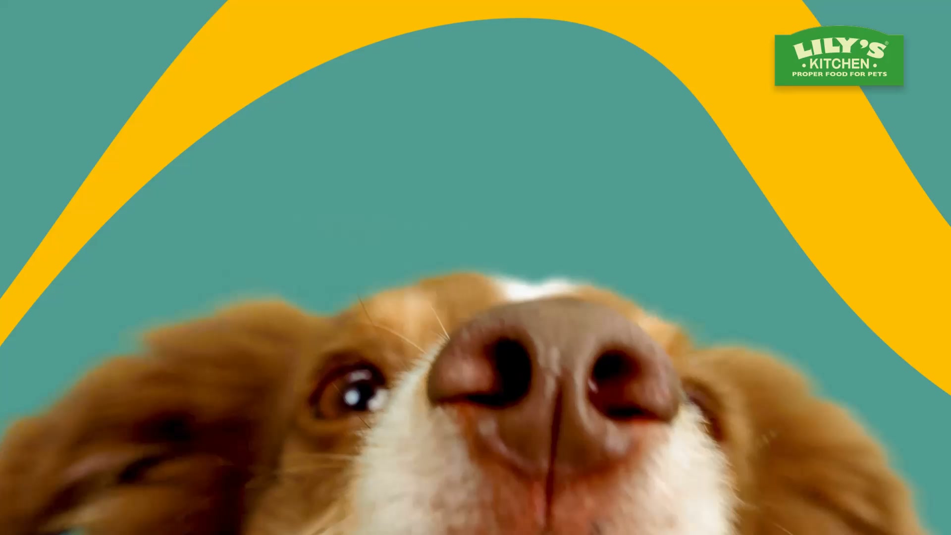 Lily's Kitchen ad: OH SO FRESH!™