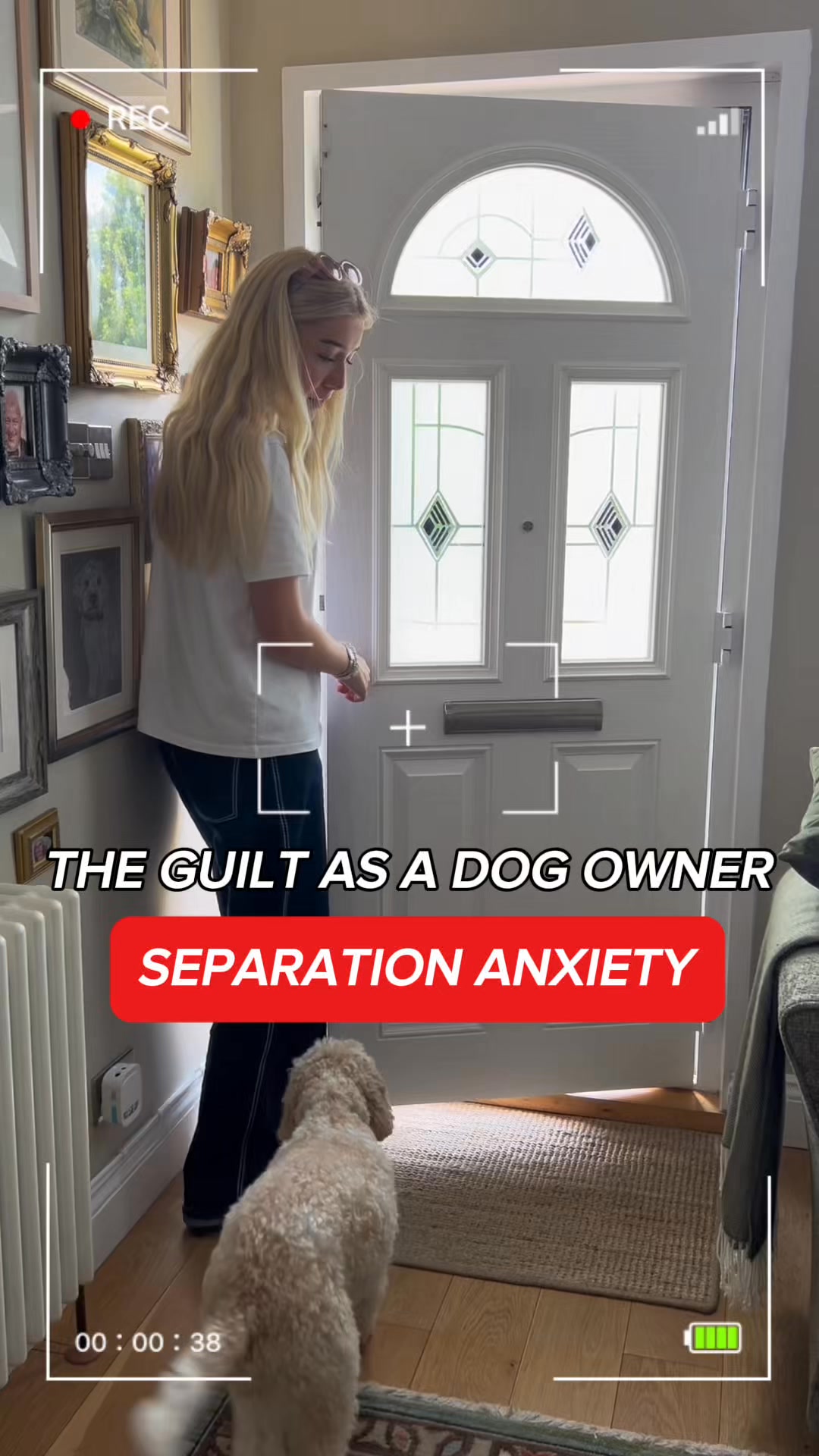 Pawd Drinks ad: Daily Calm for Anxious Dogs