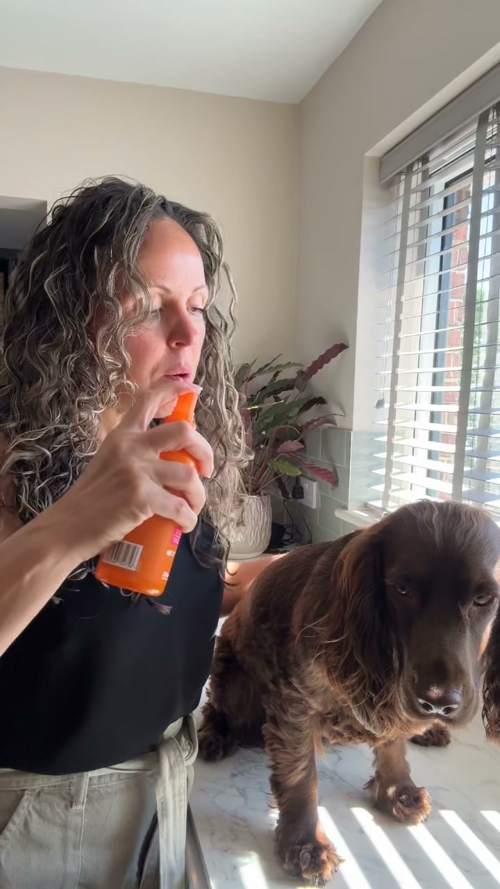 Zesty Paws UK ad: Easy On Your Dog. Easy On You.