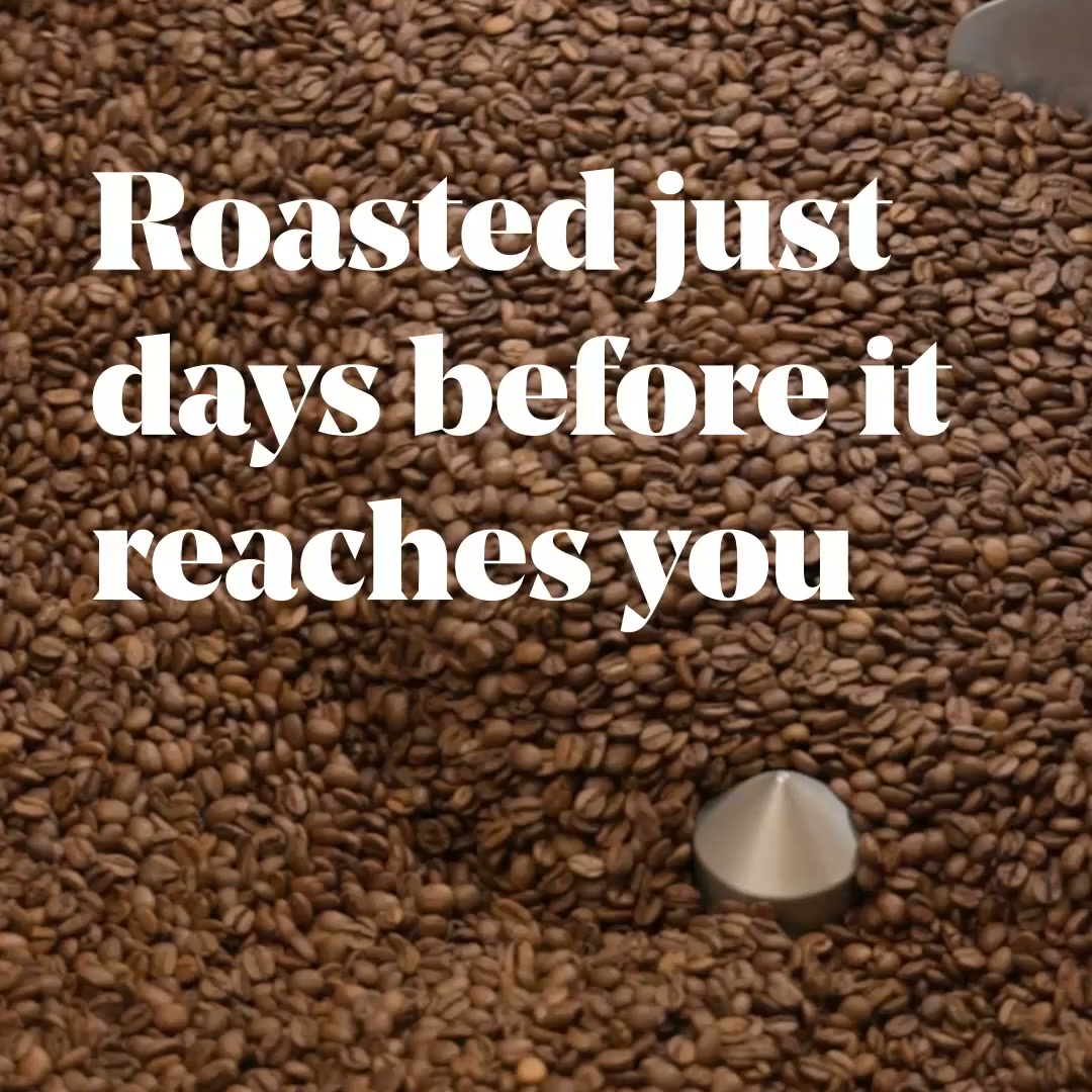 Pact Coffee ad: Freshly roasted to order ☕