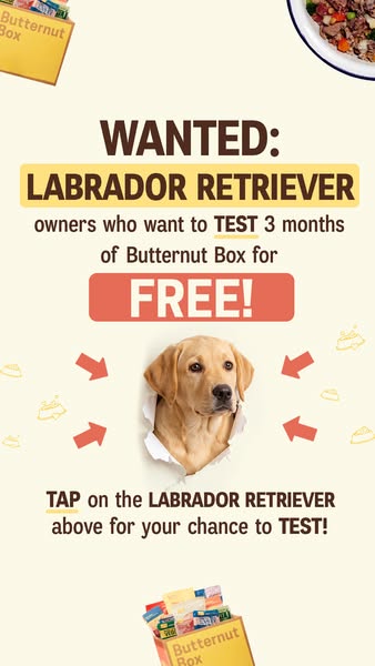 Butternut Box ad: 🐶 WANTED: LABRADOR RETRIEVER owners! 🐶