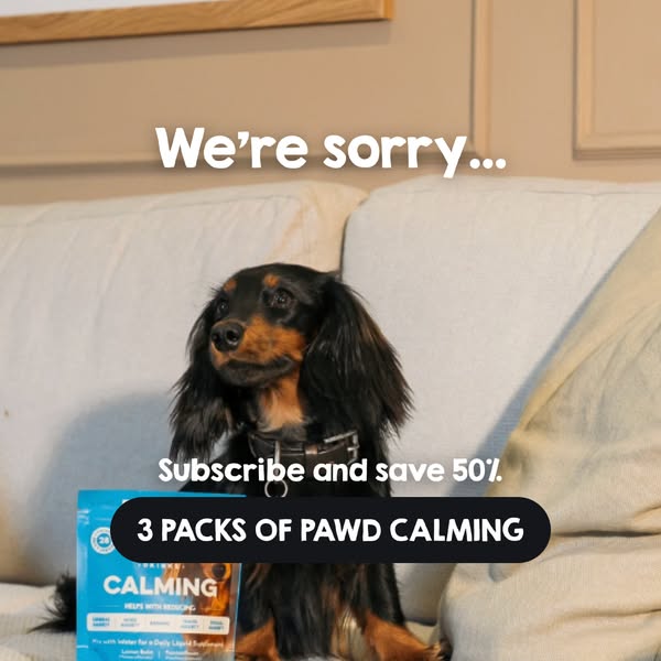 Pawd Drinks ad: Daily Calm for Anxious Dogs