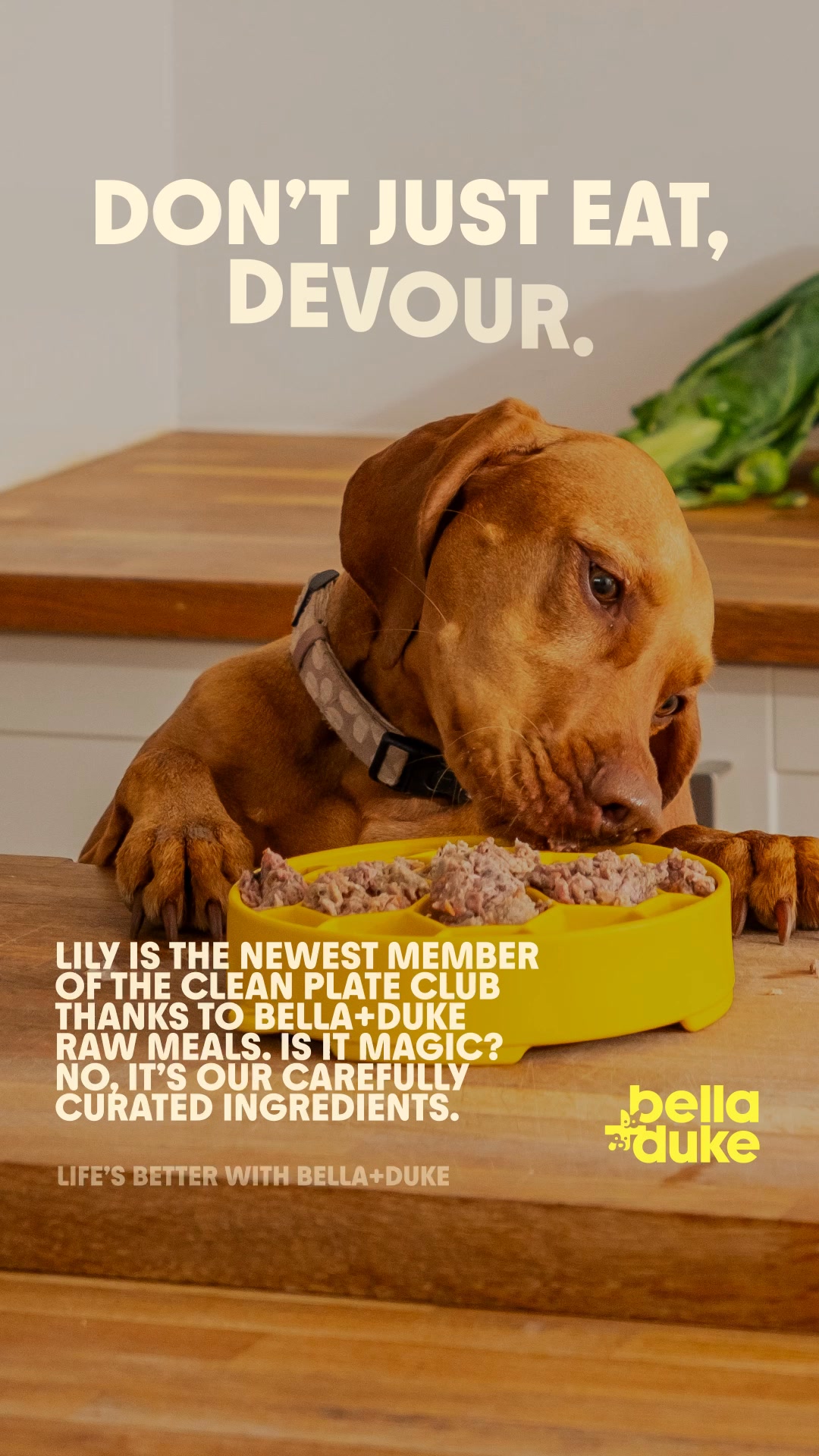 Bella+Duke ad: Life’s better with Bella+Duke.