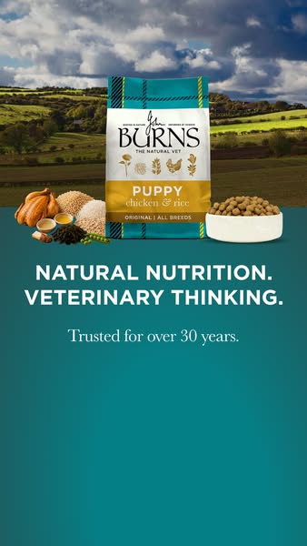 Burns Pet Nutrition ad: Nutrition for Every Dog