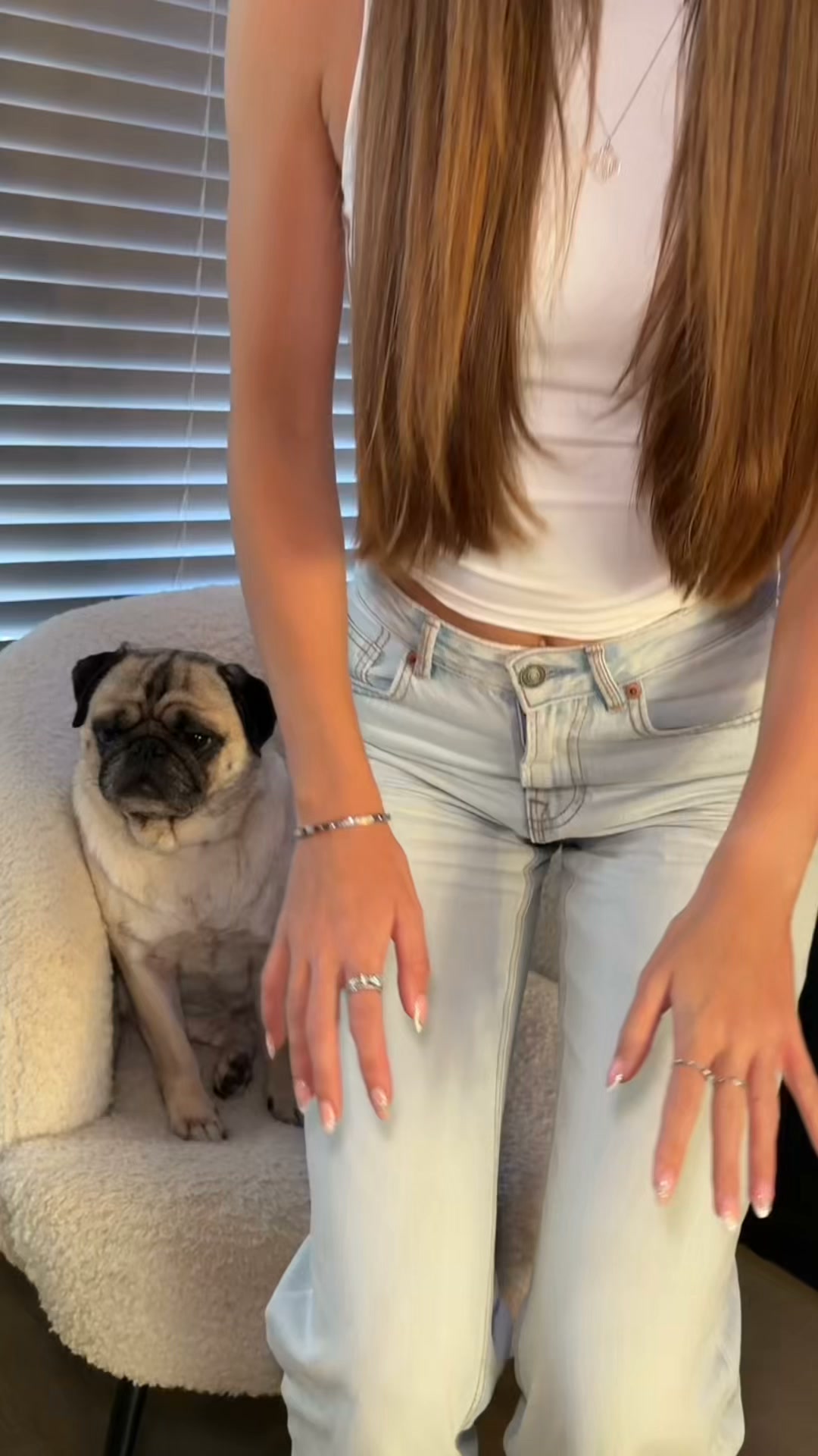 Zesty Paws UK ad: Fast response for sudden dog tummy trouble 🐾