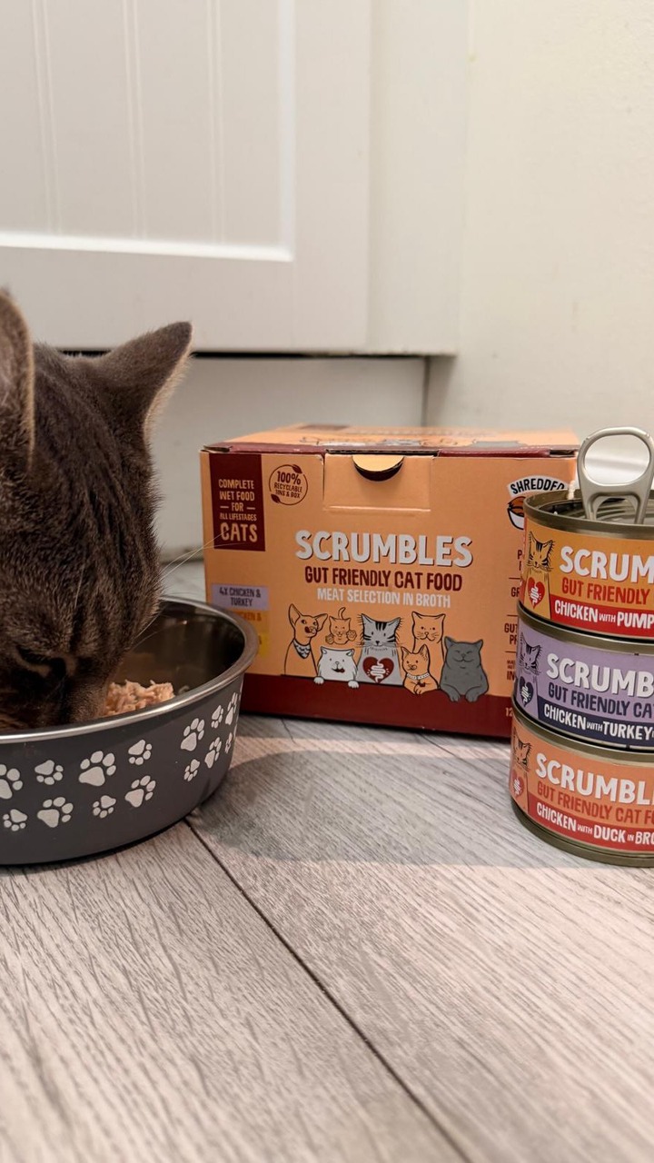 Scrumbles ad: Give Them Gut Friendly Food As When Their Tummies Are Good They’re Good 😻 We are loving the meat selection in broth from Scrumbles Use nala