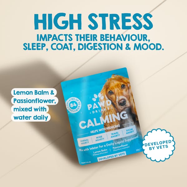 Pawd Drinks ad: Daily Calm for Anxious Dogs