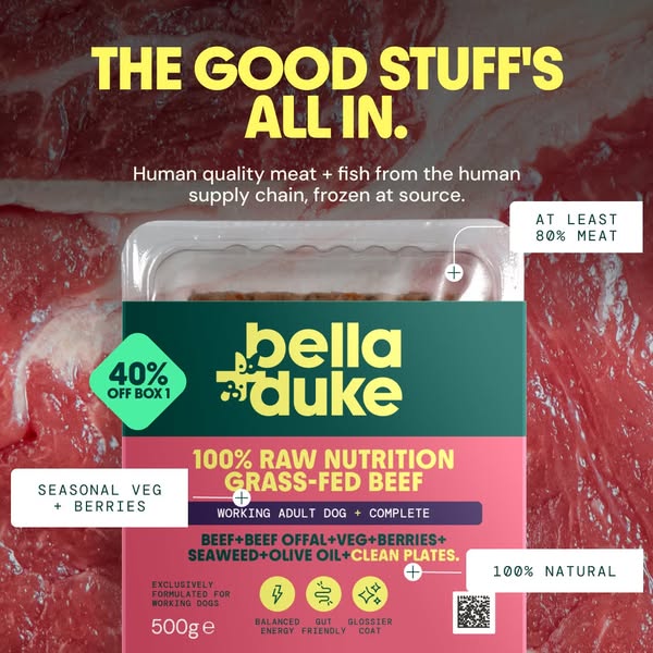 Bella+Duke ad: Get 40% off your first box