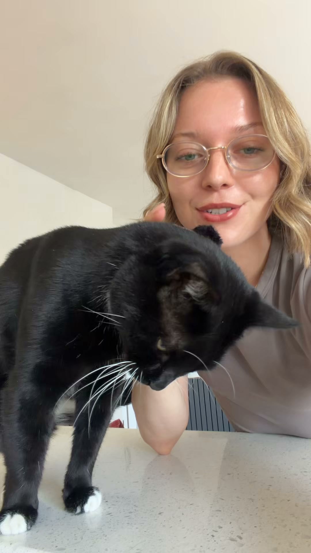 KatKin ad: 100% fresh meat for healthy cats