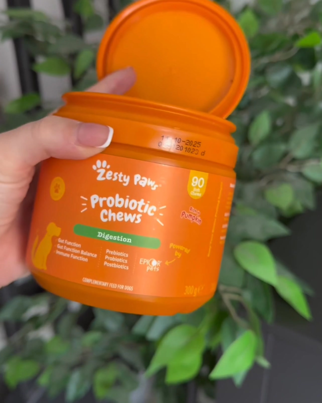 Zesty Paws UK ad: Daily Gut Support For Dogs!